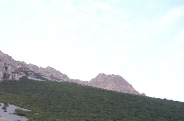 palchi raccolti
